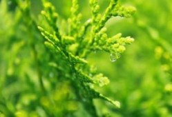 游戏软件开发，游戏源代码，游戏程序开发