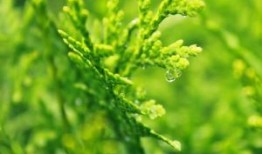 游戏软件开发，游戏源代码，游戏程序开发