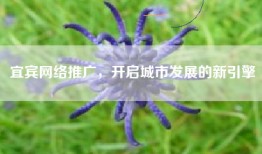 宜宾网络推广，开启城市发展的新引擎