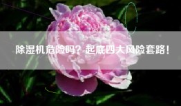 除湿机危险吗？起底四大风险套路！