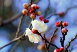 昆山楼市最新销售动态及市场趋势与前景展望