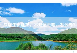 应届生很迷茫，不知道干啥，怎么办？