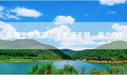 应届生很迷茫，不知道干啥，怎么办？