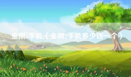 金刚2手机（金刚2手机多少钱一个）