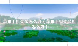 苹果手机变砖怎么办（苹果手机变砖机怎么办）