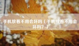 手机放着不用会坏吗（手机放着不用会坏吗？）