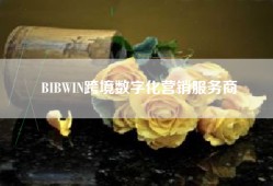 BIBWIN跨境数字化营销服务商