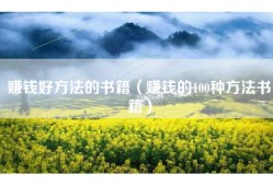 赚钱好方法的书籍（赚钱的100种方法书籍）