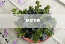 场景管理