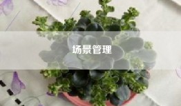 场景管理