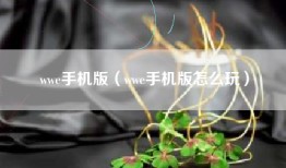 wwe手机版（wwe手机版怎么玩）