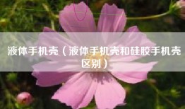 液体手机壳（液体手机壳和硅胶手机壳区别）