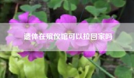 遗体在殡仪馆可以拉回家吗