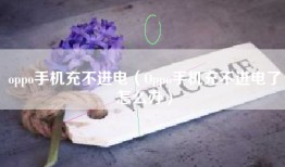 oppo手机充不进电（Oppo手机充不进电了怎么办）