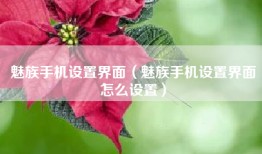魅族手机设置界面（魅族手机设置界面怎么设置）