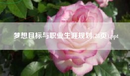 梦想目标与职业生涯规划(28页).ppt
