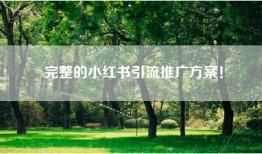 完整的小红书引流推广方案！