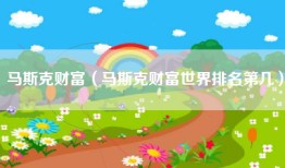 马斯克财富（马斯克财富世界排名第几）