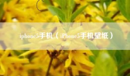 iphone5手机（iPhone5手机壁纸）