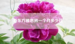 新东方雅思班一个月多少钱