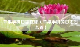 苹果手机日志在哪（苹果手机的日志怎么看）