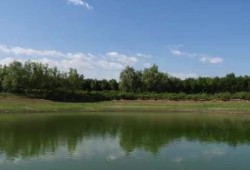 羌笛秋声湿塞烟是代表什么生肖、解释释义词语落实