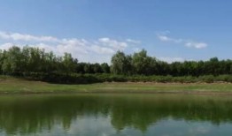 羌笛秋声湿塞烟是代表什么生肖、解释释义词语落实
