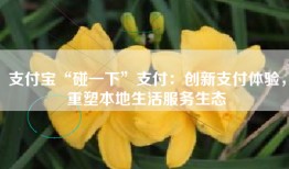 支付宝“碰一下”支付：创新支付体验，重塑本地生活服务生态