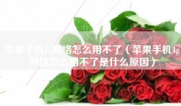 苹果手机4g网络怎么用不了（苹果手机4g网络怎么用不了是什么原因）