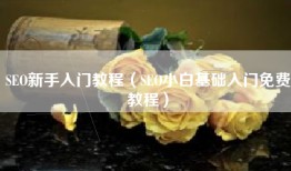 SEO新手入门教程（SEO小白基础入门免费教程）