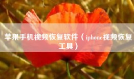 苹果手机视频恢复软件（iphone视频恢复工具）