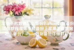 苹果手机数据怎么备份？iPhone数据备份详细教程苹果手机备份「苹果手机数据怎么备份？iPhone数据备份详细教程」