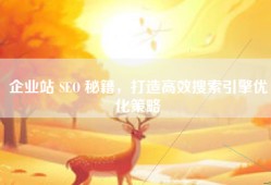 企业站 SEO 秘籍，打造高效搜索引擎优化策略