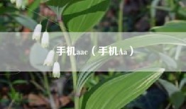 手机aac（手机Aa）