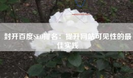 封开百度SEO排名：提升网站可见性的最佳实践