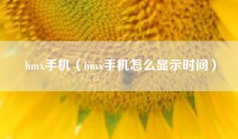 hmx手机（hmx手机怎么显示时间）