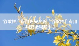 谷歌推广有用吗安全吗【谷歌推广有用吗安全吗知乎】
