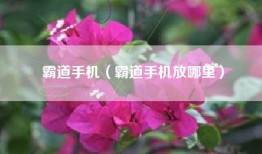 霸道手机（霸道手机放哪里）
