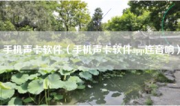 手机声卡软件（手机声卡软件app连音响）