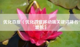 优化百度（优化百度移动端关键词排名靠前）