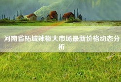 河南省柘城辣椒大市场最新价格动态分析