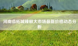 河南省柘城辣椒大市场最新价格动态分析