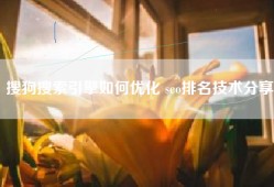 搜狗搜索引擎如何优化 seo排名技术分享