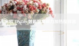 米欧 TP-350S 智能数显磁力加热搅拌器