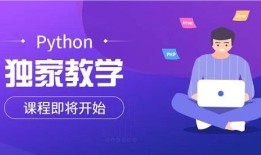 上海排名靠前的python编程培训机构十大单公布