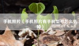 手机照片（手机照片有手机型号怎么去掉）