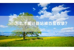 2024怎么才能让新站被百度收录？