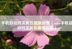 手机自动开关机在哪里设置（oppo手机自动开关机在哪里设置）