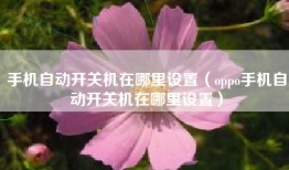 手机自动开关机在哪里设置（oppo手机自动开关机在哪里设置）
