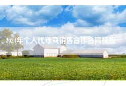 2024年个人代理商销售合作合同模板一